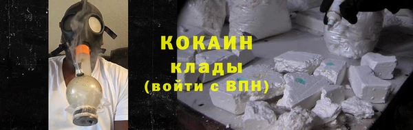 шишки Верхний Тагил