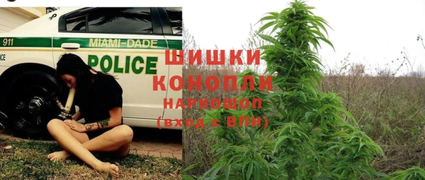 шишки Верхний Тагил